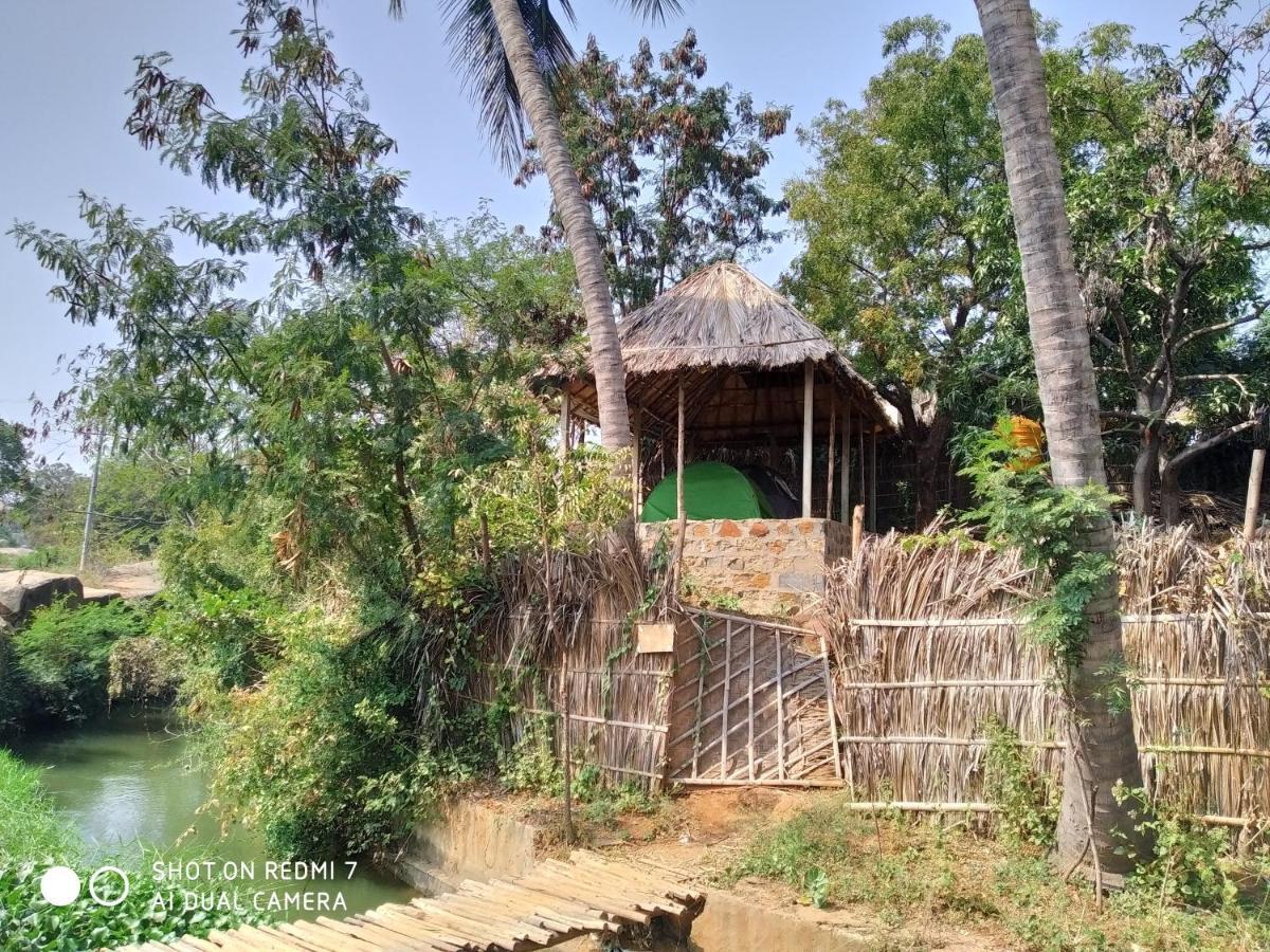 Drunken Monkey Camping Site Hampi Exterior foto